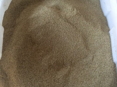 耐干燥的一二年生草花種子有哪些？