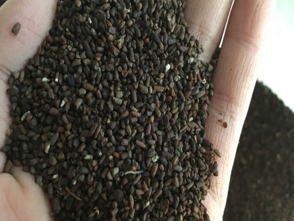 1663986259729706.jpg 10_副本.jpg