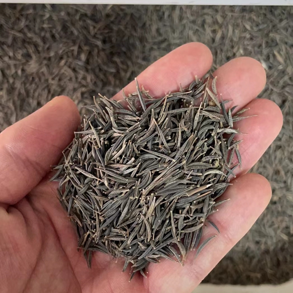 1663986306583752.jpg 格桑花34.jpg