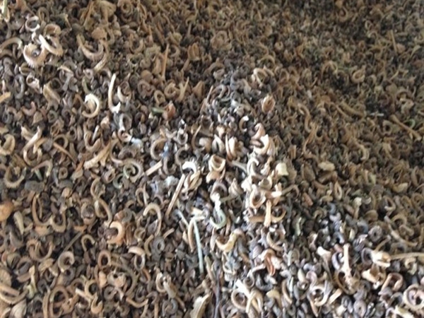 1663986591971224.jpg 10_副本.jpg