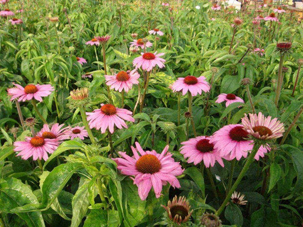 1669196507341937.jpg 7_副本.jpg