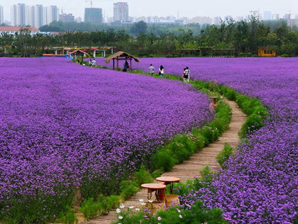 1670553329387966.jpg 10_副本.jpg