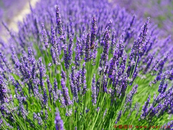 1670553473931993.jpg 5_副本.jpg