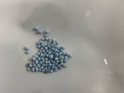 草花種子種植方法和技巧