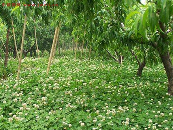 1670591967687175.jpg 3.jpg