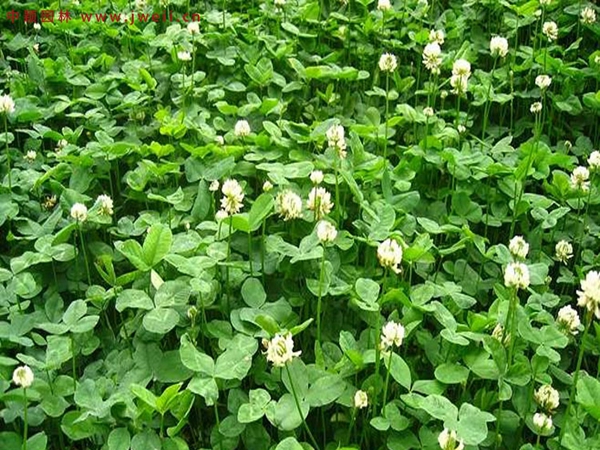 1670591991687155.jpg 5.jpg