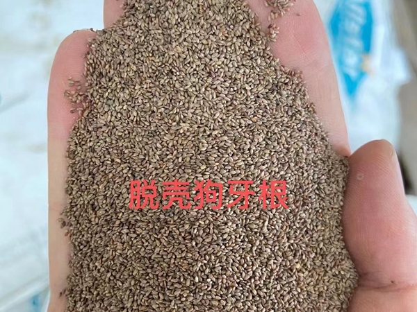 1670746683535788.jpg 16.jpg