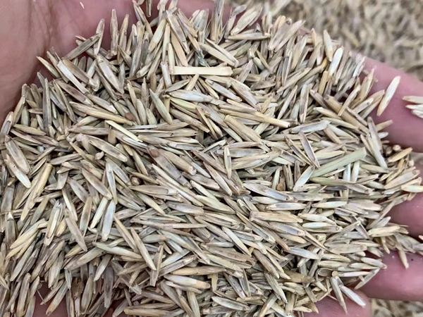 1670746838614787.jpg 71.jpg