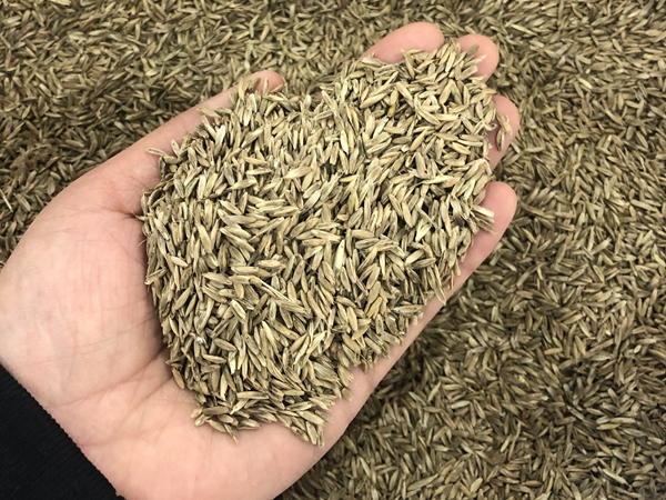 1670746878836918.jpg 78.jpg