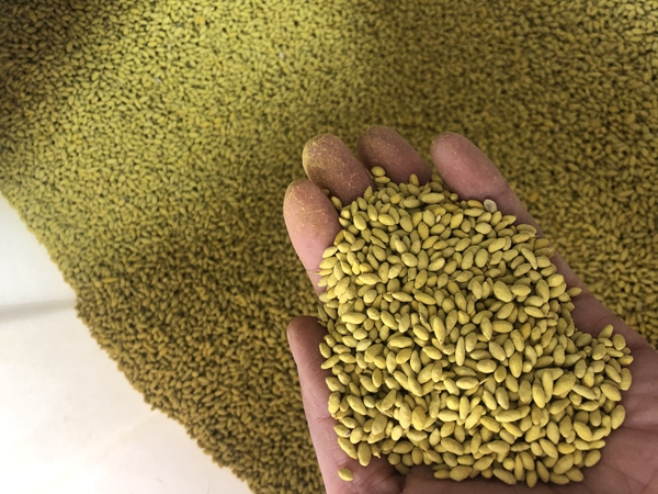 1670746929779751.jpg 60.jpg