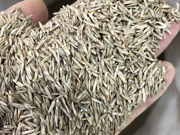 1670891289455486.jpg 89.jpg