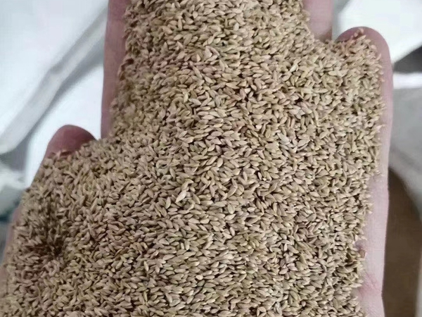 1670891446908335.jpg 24.jpg