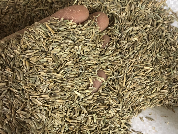 1670891526178162.jpg 85.jpg