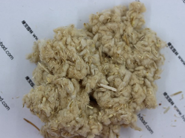 1671195976995028.jpg 千日紅.jpg