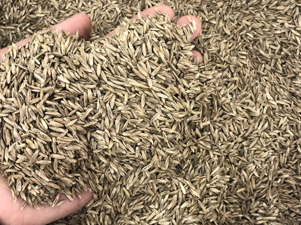 1671350390878651.jpg 77.jpg