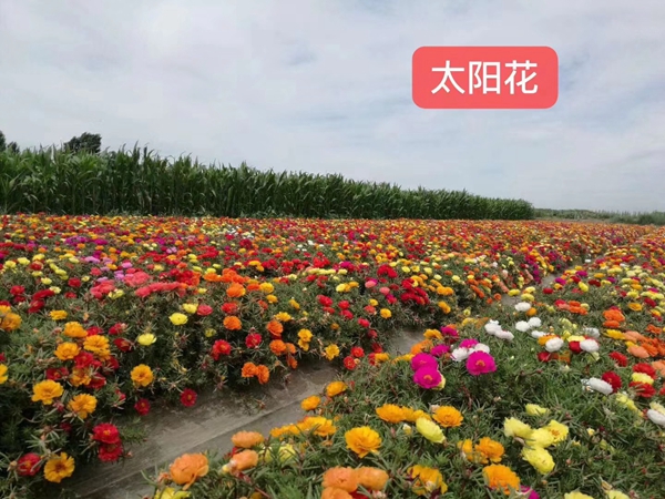 1671350738782639.jpg 51.jpg