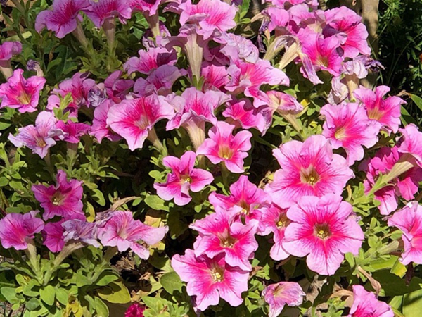 1672040597575225.jpg 2_副本 (2).jpg