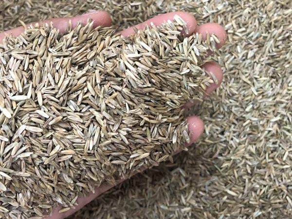 1672044087708404.jpg 75.jpg