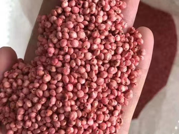 1672232833806546.jpg 92.jpg