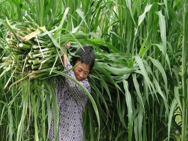 1672303966333568.jpg 4.jpg