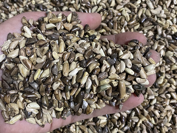 1672311884245430.jpg 1.jpg