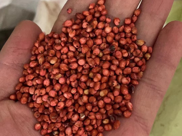 1672312823874689.jpg 38.jpg