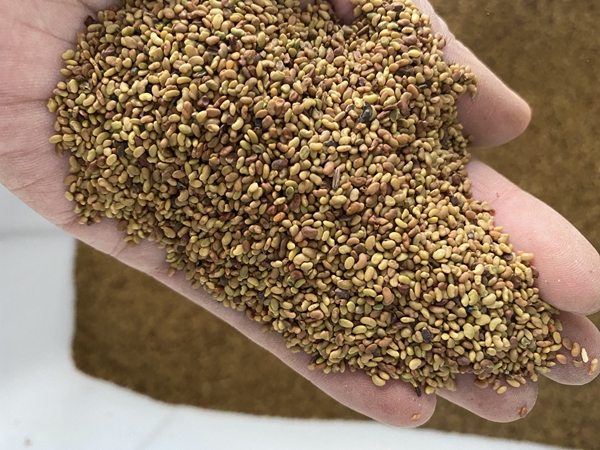 1672316689280130.jpg 12.jpg