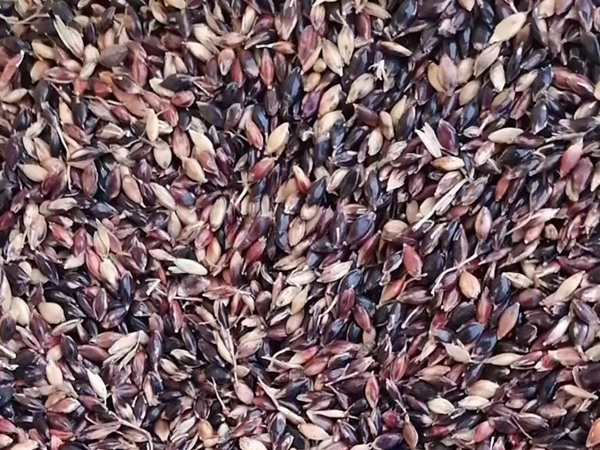 1672316807897722.jpg 48.jpg