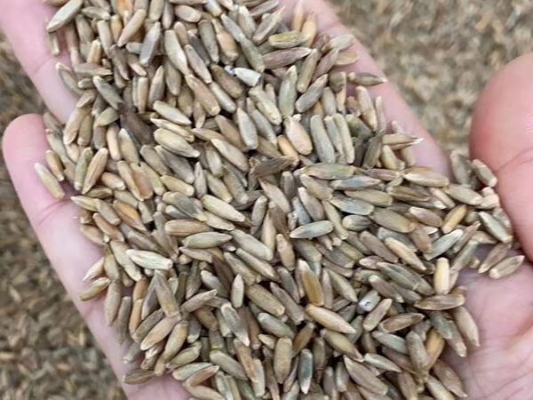 1672316859713055.jpg 45.jpg