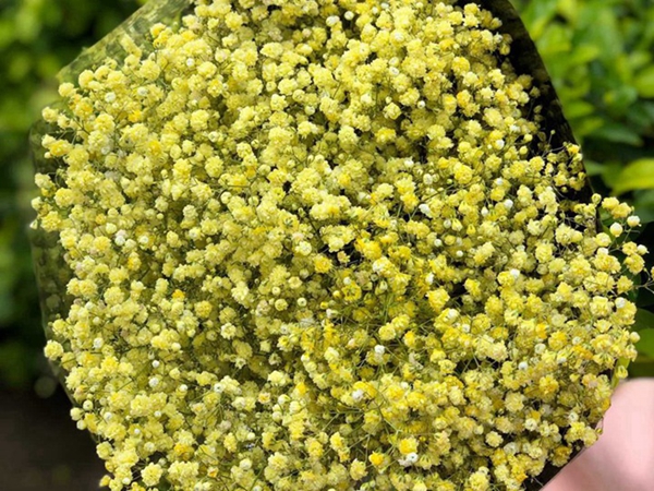 1675160410939147.jpg 23.jpg