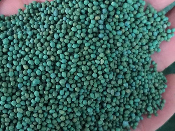 1675940187759135.jpg 55.jpg