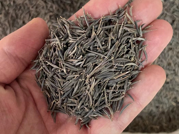 1675943529728452.jpg 21.jpg