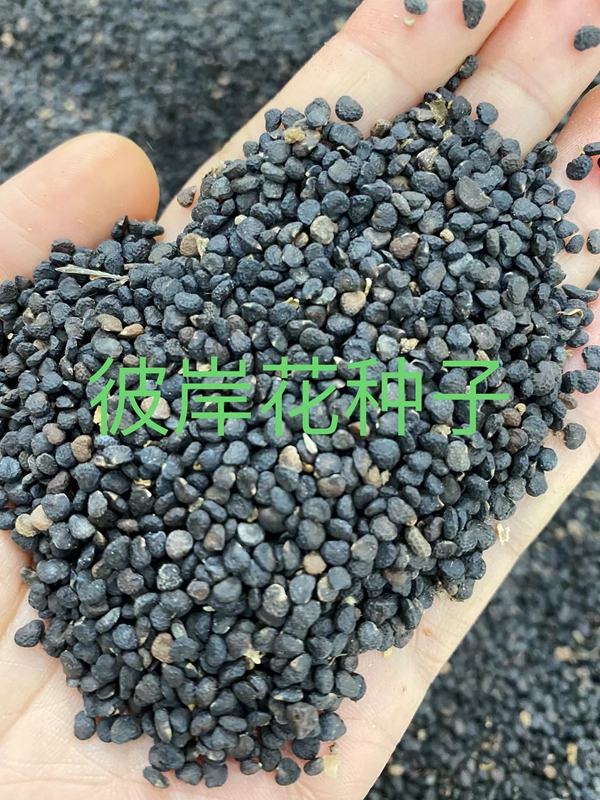 1675943624770708.jpg 20.jpg