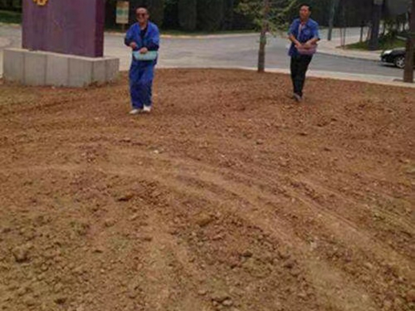 1675943659203600.jpg 5.jpg