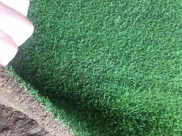 1675946308776994.jpg 草坪04.jpg