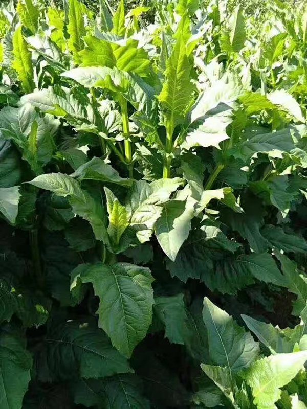 1676034469445208.jpg 微信圖片_20230210210618.jpg