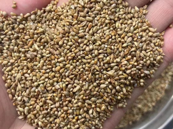 1676120839456889.jpg 46.jpg