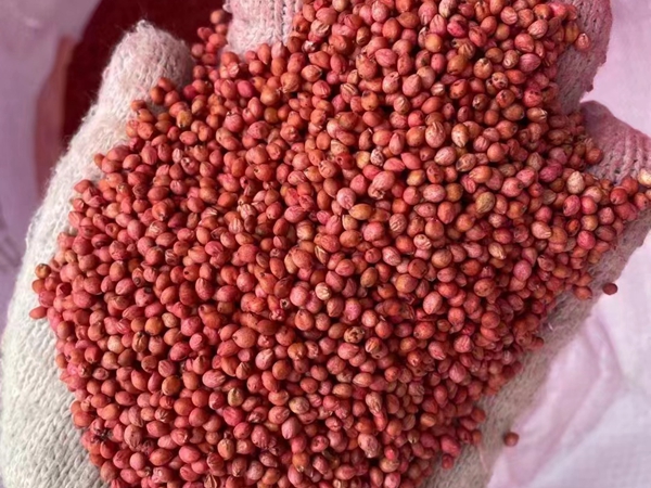 1676120946416294.jpg 42.jpg