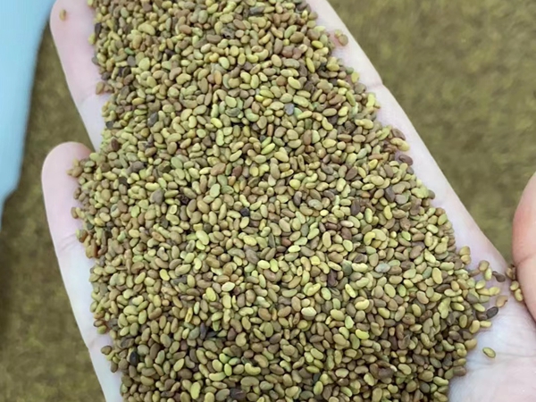 1676121904101092.jpg 44.jpg