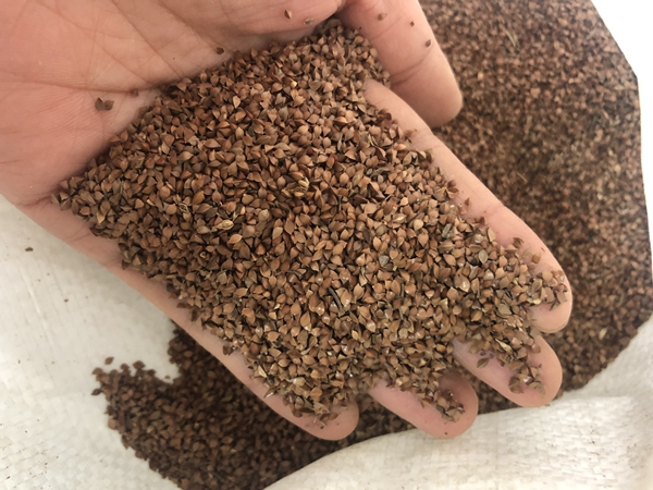 1676121974404862.jpg 56.jpg