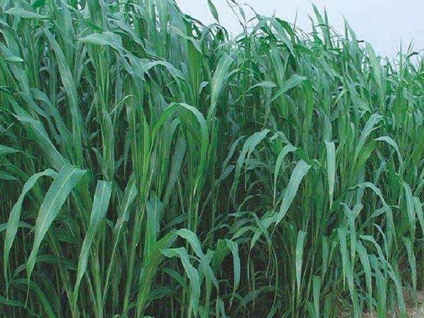 1676122645482539.jpg 3.jpg