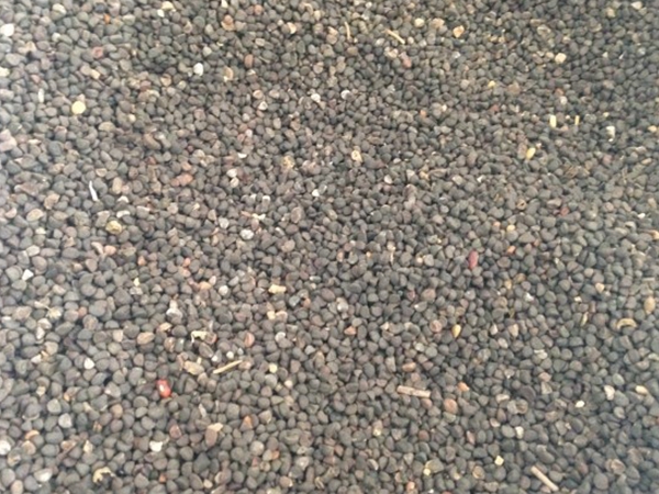 1676209069186342.jpg 野茉莉1.jpg