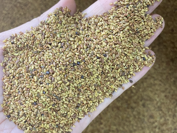 1676360262415224.jpg 30.jpg