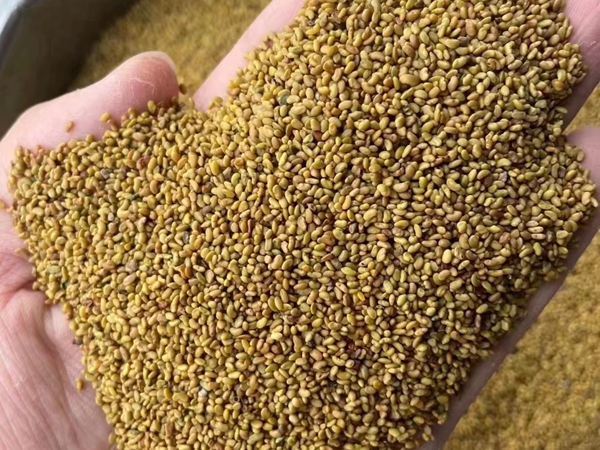 1676364093971337.jpg 44.jpg