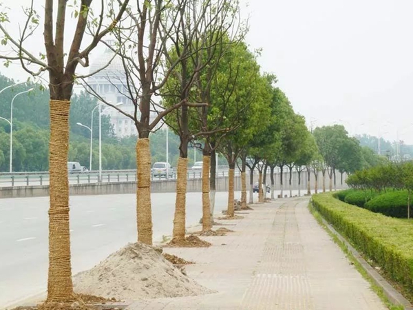 1676372123779137.jpeg 草繩00.jpeg