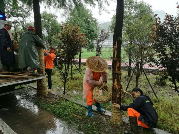 1676527637820513.png 草繩03.png