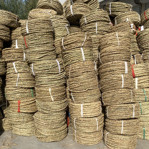 1678266270666307.jpg 草繩2.jpg