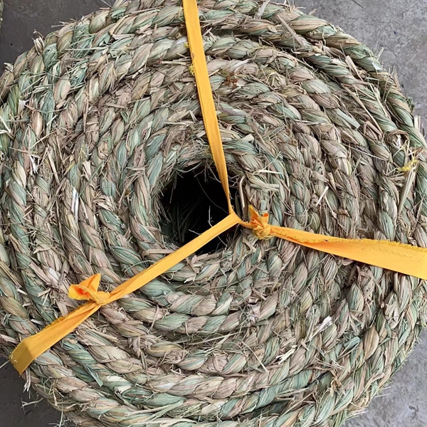 1678266302557596.jpg 草繩4.jpg