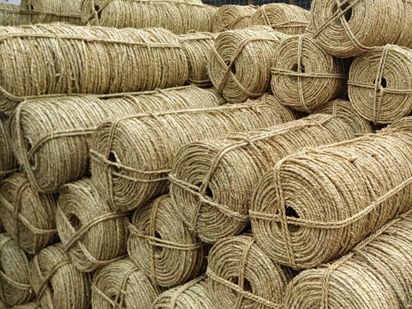 1678266343424834.jpg 草繩26.jpg