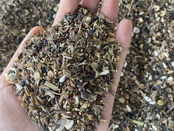 1680087806255557.jpg 野花組合種子.jpg